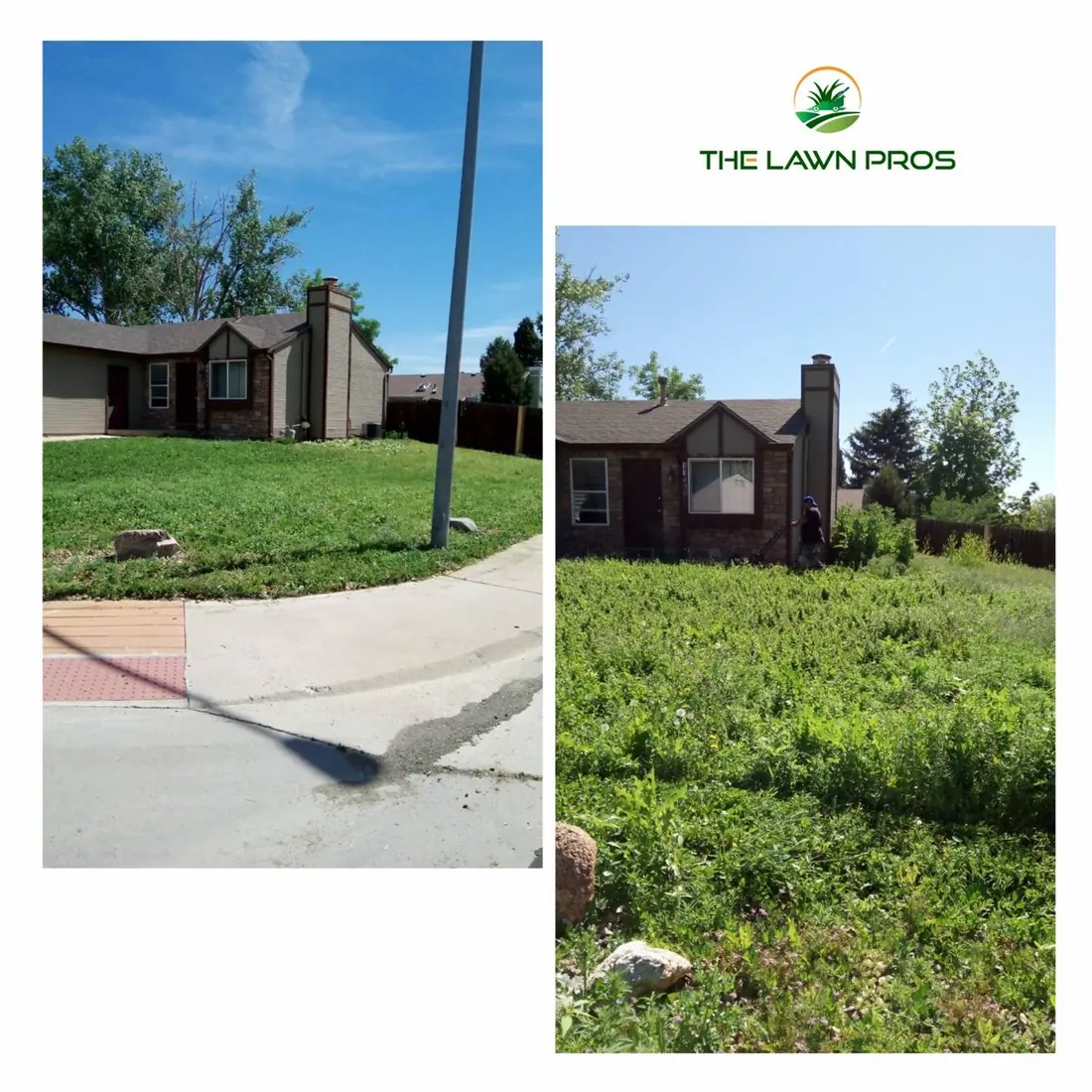 Before-and-after views of an overgrown front yard and the lawn after mowing