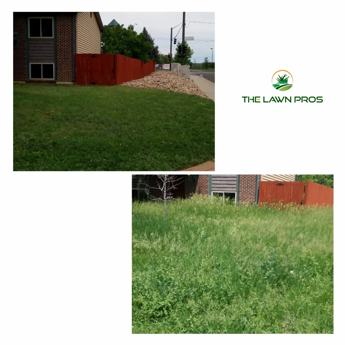 Before-and-after views of an overgrown side lawn and the grass after mowing
