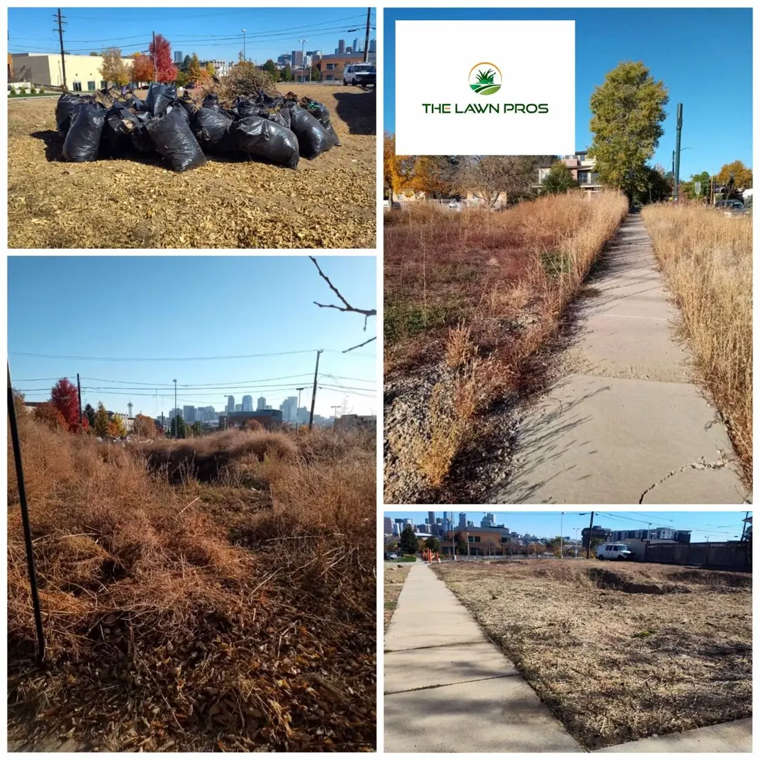 Before-and-after collage of an overgrown lot, bagged debris, and the cleared yard in fall